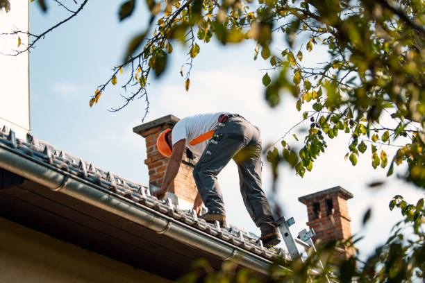 Best Shingle Roofing Installation  in Wautoma, WI