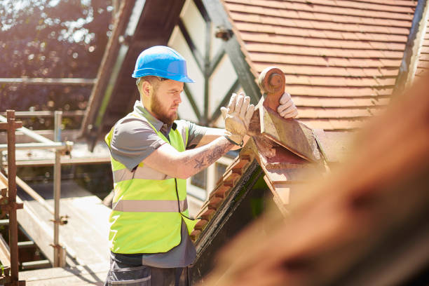 Best Roof Gutter Cleaning  in Wautoma, WI